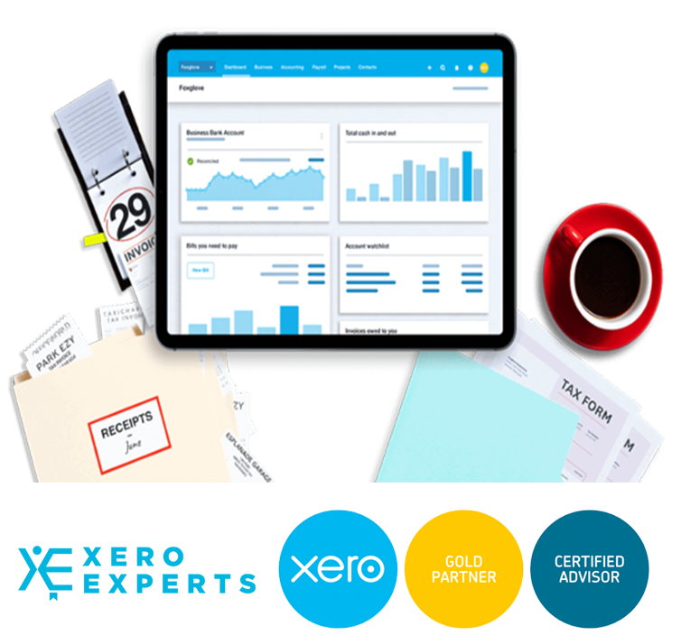 Xero Accounting Advanced Training